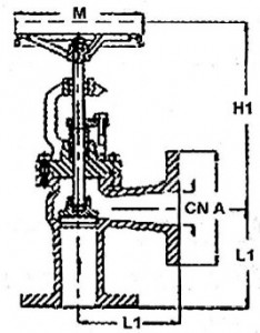 Cast Steel DIN Flanges Globe Valve Angle Type