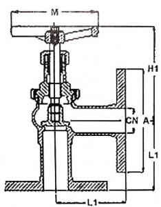 Bronze DIN Flanges Globe Valve Angle Type PN16