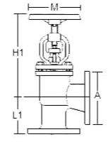 Ductile Cast Iron DIN Flanges Globe Valves Angle Type